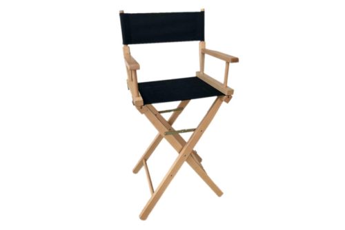 comfortable directors chair